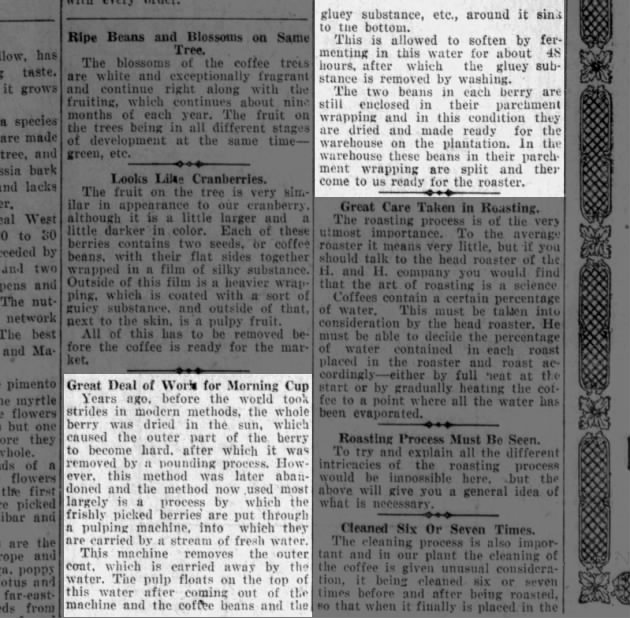 Columns on coffee cherry, processing, and roasting; San Antonio Light, 26 Aug 1923, page 63