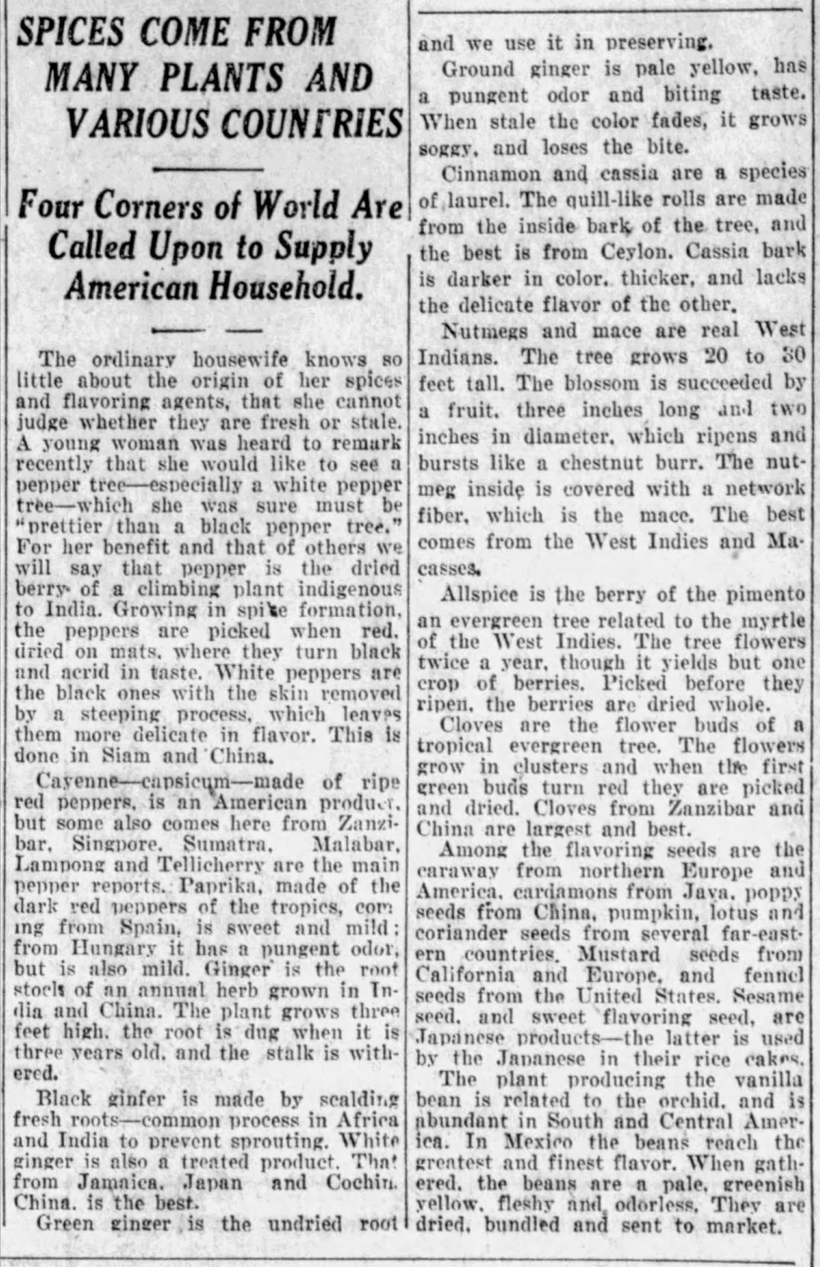 Two-column feature “Spices Come From Many Plants and Various Countries” with subhead on world sources; San Antonio Light, 26 Aug 1923, page 63