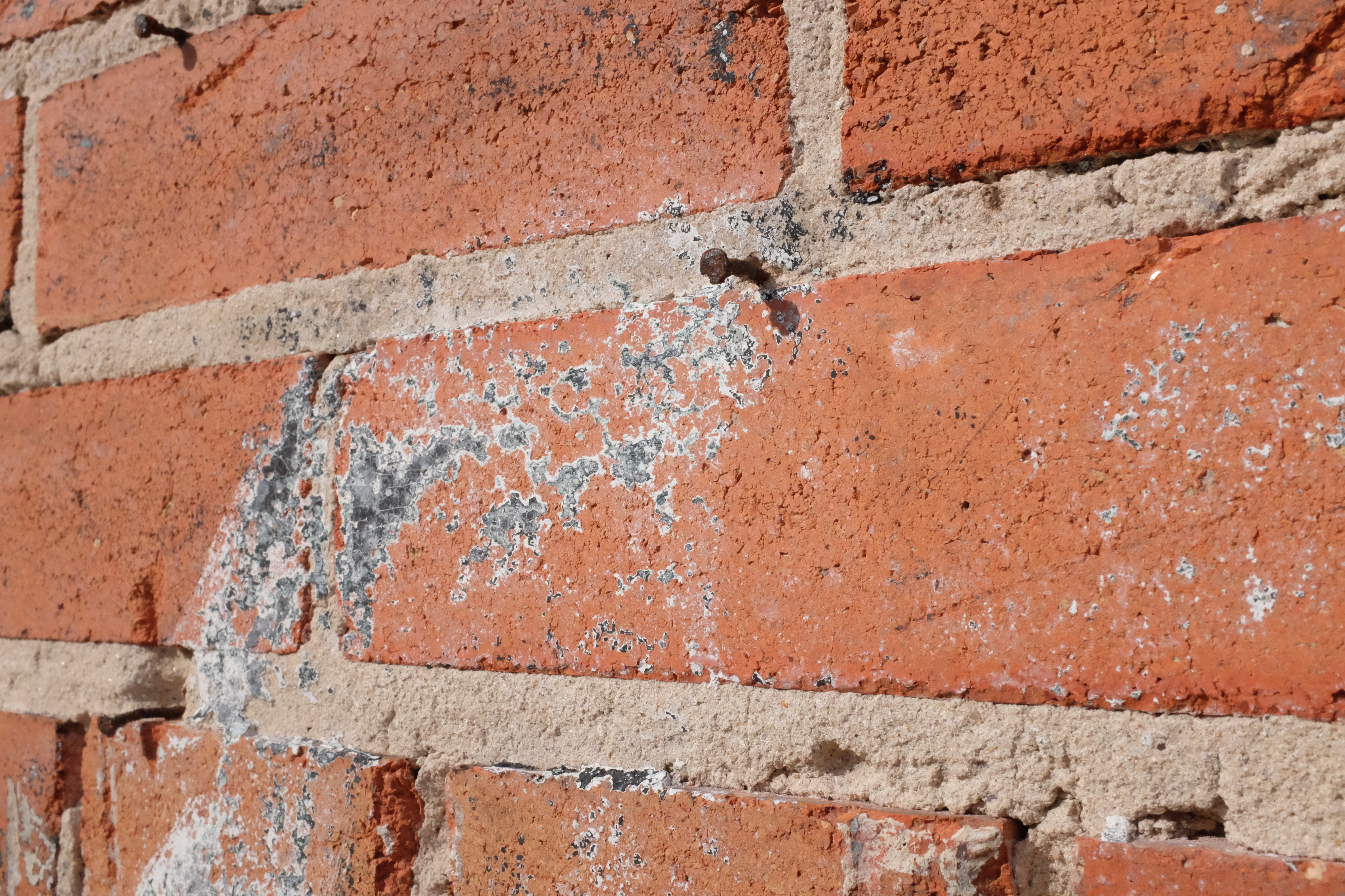 Close brick — white and dark paint ghosts, rusted nails