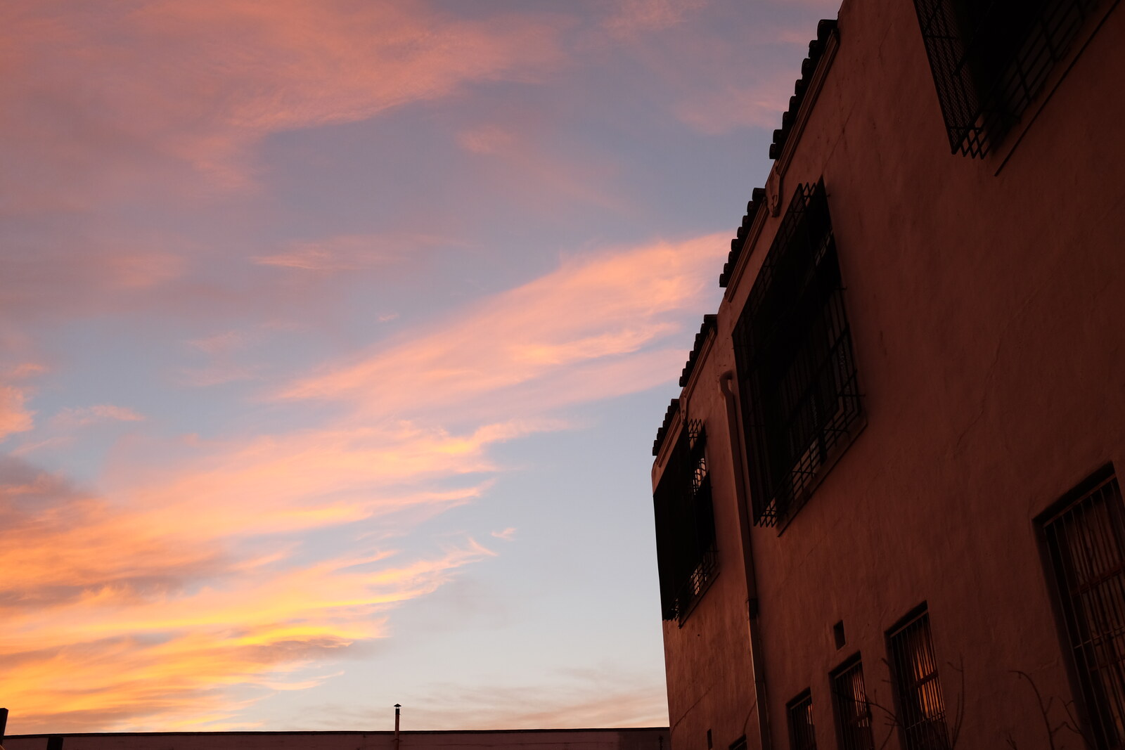 Tight oblique dusk view of the 1932 Hoffmann-Hayman Coffee Co. factory's south face on 14 March 2021, photographed from the south looking north — terracotta pantile parapet coping along the top, diamond-mesh security grilles caged over the second-floor steel-sash industrial windows and first-floor openings, interior lights glowing warmly through the cages, set against a pink-and-orange equinox-eve sunset sky with wispy cirrus streaks to the west.