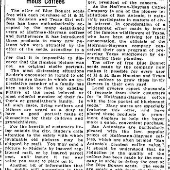 San Antonio Express article "Bluebonnet Seeds Distributed With H & H Coffees," quoting G. P. Menger, August 17, 1936