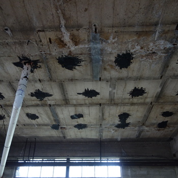 **13 May 2014** (**Sony DSC-RX100**) — low-angle look at a **board-formed or paneled grey concrete ceiling** in the Hoffmann-Hayman plant with **regular dark bitumen / tar patches**, hanging wires, and a prominent **white plastic riser**; bright window band at the bottom edge.