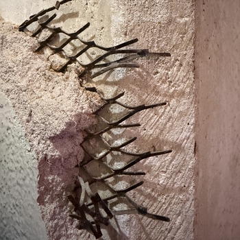 **Hoffmann-Hayman factory**, **first floor**, **bay one** beside the **office** — oblique close-up on the **same column** as the **[stratified encasement opening](/assets/images/gallery/2026-04-24-factory-wall-section-mortar-fill-scratch-coat-osb-masonry-wall-tie.jpg)** — **24 April 2026** (**Apple iPhone 17 Pro Max**) — **off-white cement plaster or stucco skin** spalled and broken back to expose **dark expanded-diamond metal lath** embedded in the buildup; **several lath strips** **bent outward** like fingers and projecting from the void, casting **hard shadow** on the **rough pitted** remaining face; crumbly **aggregate** and **fine fiber** at the fracture lip — damage pattern consistent with **impact or prying** through the **column finish**, left **unrepaired** in the **office-adjacent** **first-floor** bay